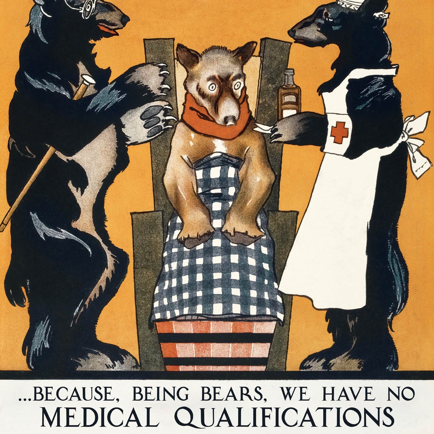 Silly Unqualified Medical Bears Print